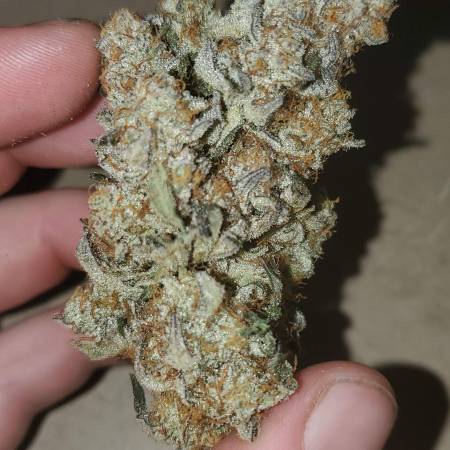 Mix tent #2