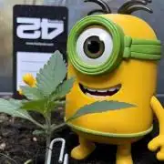 FrostBanger 2025/2026