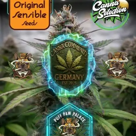 CannaSelection + Originalsensibleseeds