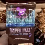 Imperium X