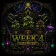 Gassy Trio | SSSC Contest 26 | F027