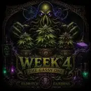 Gassy Trio | SSSC Contest 26 | F027