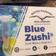 Blue Zushi