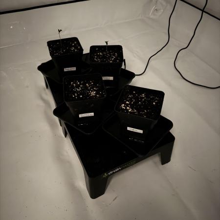 Instagram: Bloomy1212