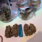 Minigrow Pineapple Chunk