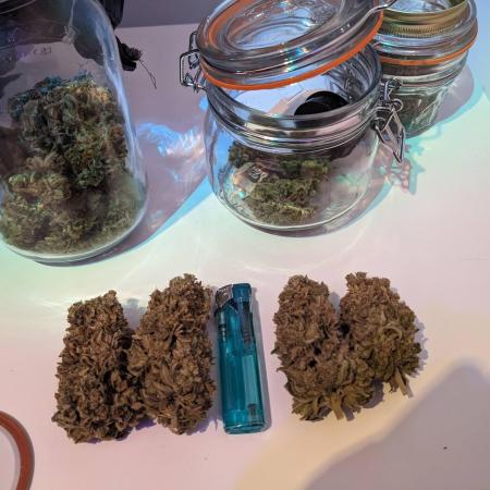 Minigrow Pineapple Chunk