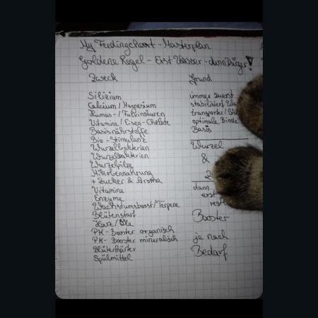 Titania aus eigenen Samen keine Automic