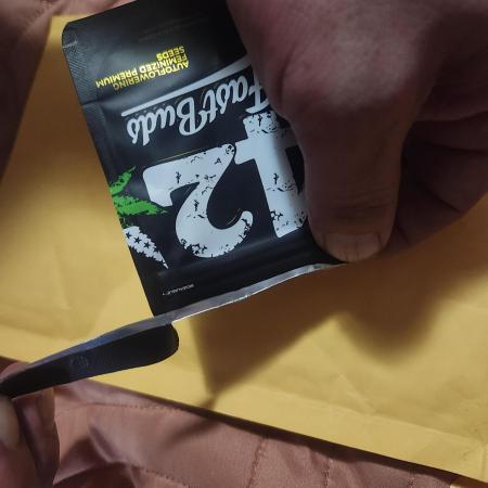 Daisy's Mystery Auto