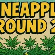 Humboldt Pineapple Round2