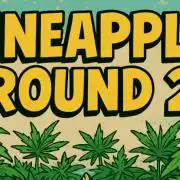 Humboldt Pineapple Round2