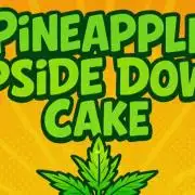 Pineapple Upside Down Cake Autopot