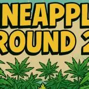 Humboldt Pineapple Round2