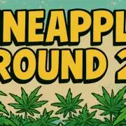 Humboldt Pineapple Round2