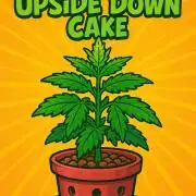 Pineapple Upside Down Cake Autopot