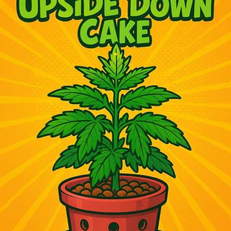 Pineapple Upside Down Cake Autopot