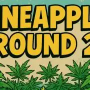 Humboldt Pineapple Round2