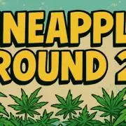 Humboldt Pineapple Round2