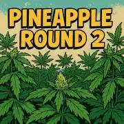 Humboldt Pineapple Round2