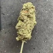 4x Original Oreoz x Greenception gcx4