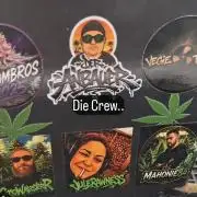 Der Anbauer comgrow