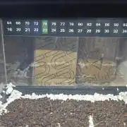 Paying Attention