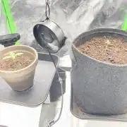 Ryu & Ken - Training Partners