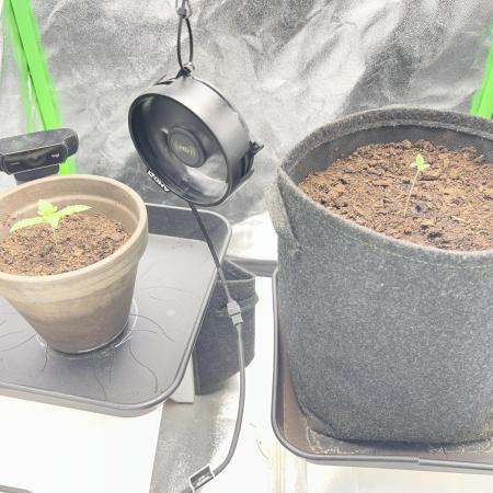 Ryu & Ken - Training Partners