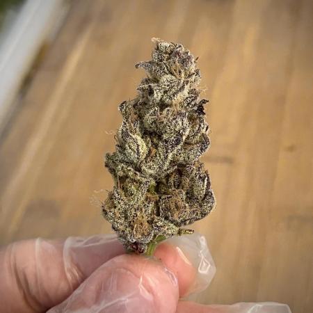 Sour Diesel & Mimosa x Orange Punch