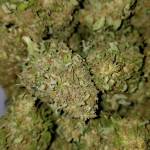 Auto Pineapple Express