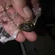 outdoor exp frostbanger 3 ème génération