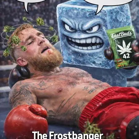 frostbanger autofloraison expérience