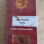 Glue Gelato auto