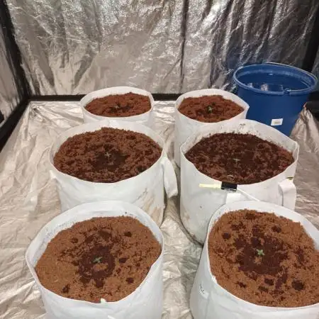 First grow in 2026