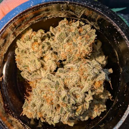 Gorilla Cookies FF X unknown