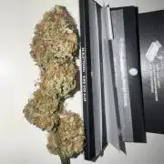 Zoapaya / Slurricane