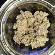 Iced 'n' Baked+ Freebie by Mephisto