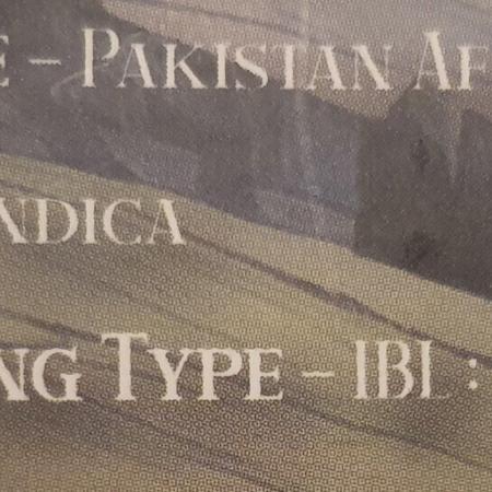 Pre-1970 Chitral Landrace IBL