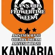 Kannabia Testrun'26