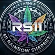 Z-RS11 - Tiny Lab Breeding