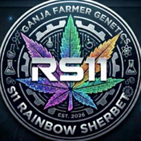 Z-RS11 - Tiny Lab Breeding