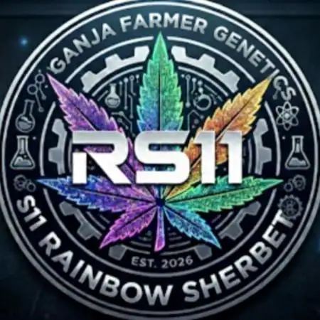 Z-RS11 - Tiny Lab Breeding