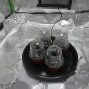 Grow tent VIVOSUN 2.7x2.7