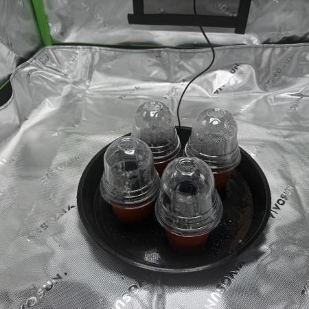 Grow tent VIVOSUN 2.7x2.7