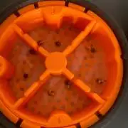 Rainbow Guavé x8+Grape Balls of Fire x1