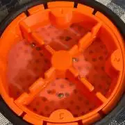 Rainbow Guavé x8+Grape Balls of Fire x1