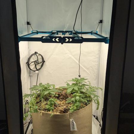 Grow 4