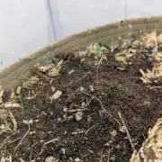 Grow 4