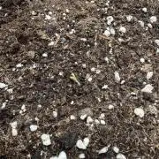 Outdoor - Rock Machine