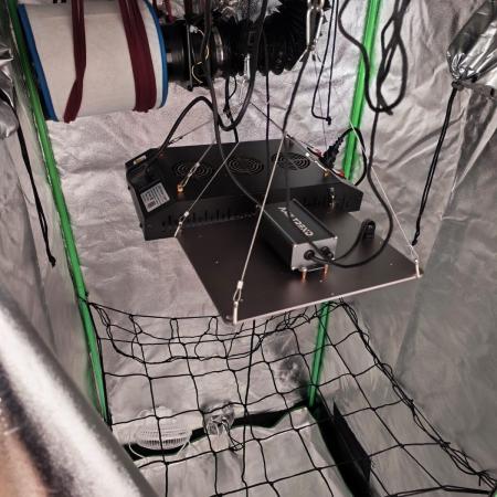 First diary! 2 autos + 1 photo RQS.