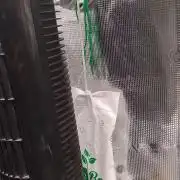 Purple Banana punch auto RF3